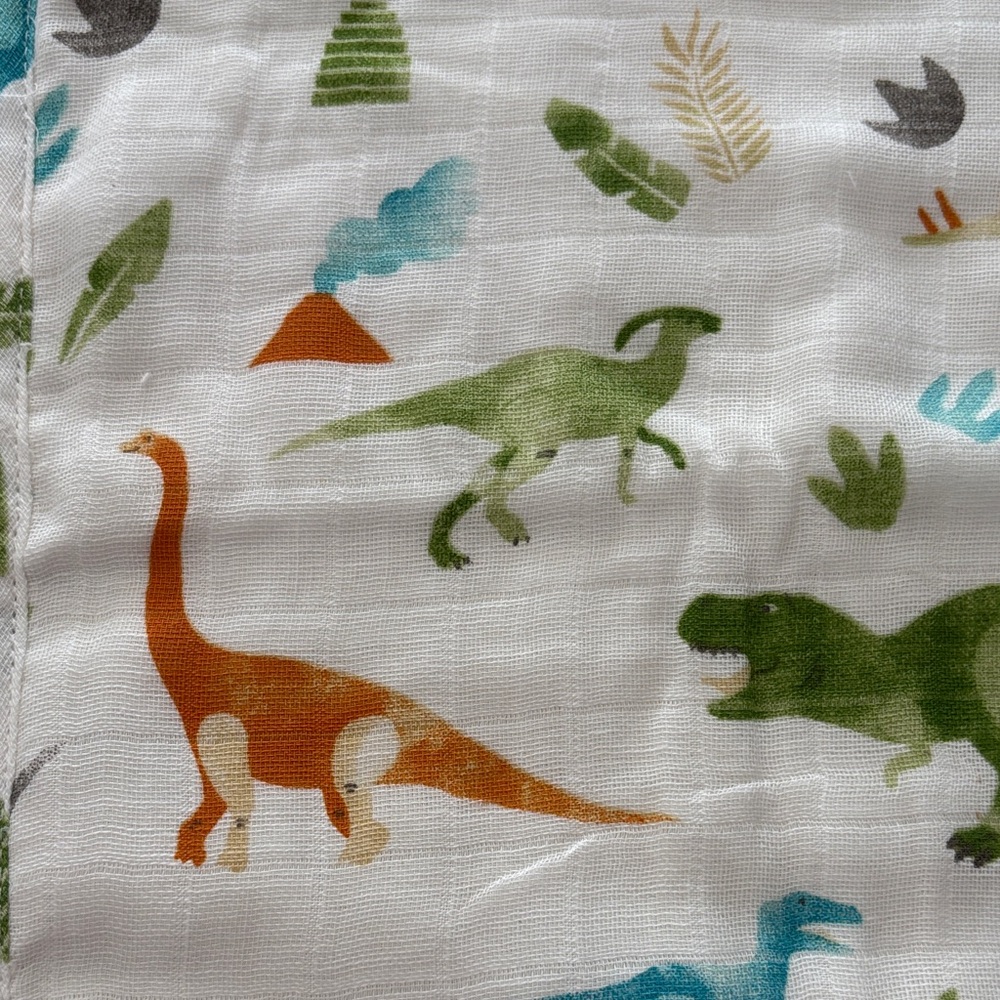 Stephen Joseph Set of 2 Cotton Muslin Washcloths Dino - Picture 9 of 11